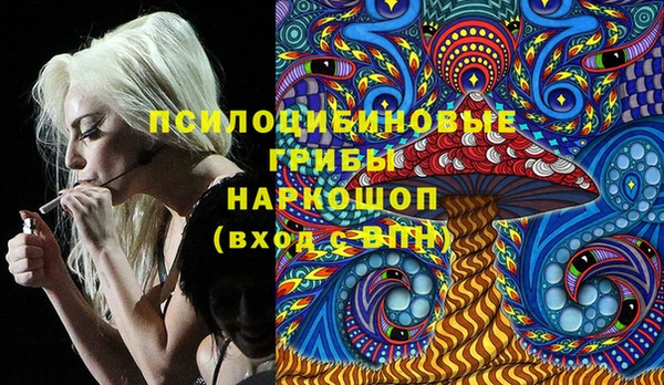 Альфа ПВП Медвежьегорск