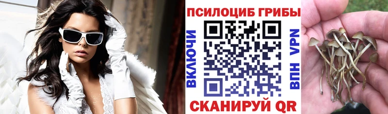 Псилоцибиновые грибы мицелий  Купить закладки  Шиханы 